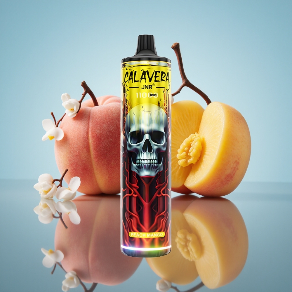 JNR Calavera 11000 퍼프 디스포저블 베이프 피치 망고 (Type-C 충전, 850mAh, 21ml)
