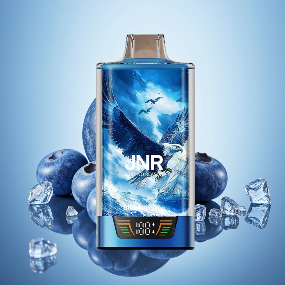 JNR Falcon Pro 28000 디스포저블 베이프 블루베리 아이스 30ml 28000 퍼프 5% 니코틴