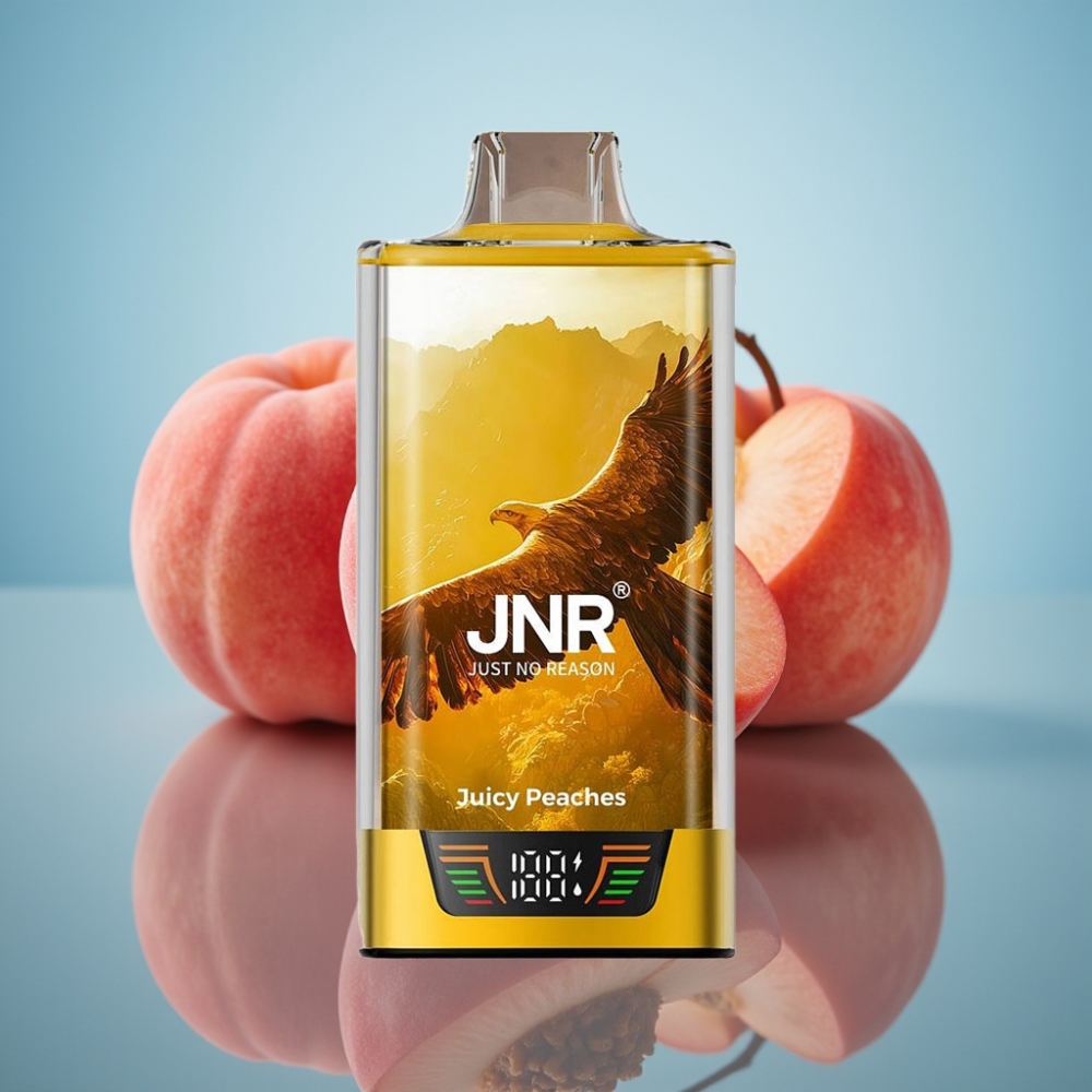JNR Falcon Pro 28000 디스포저블 베이프 (30ml, 950mAh, 5% 니코틴, 주시 피치)