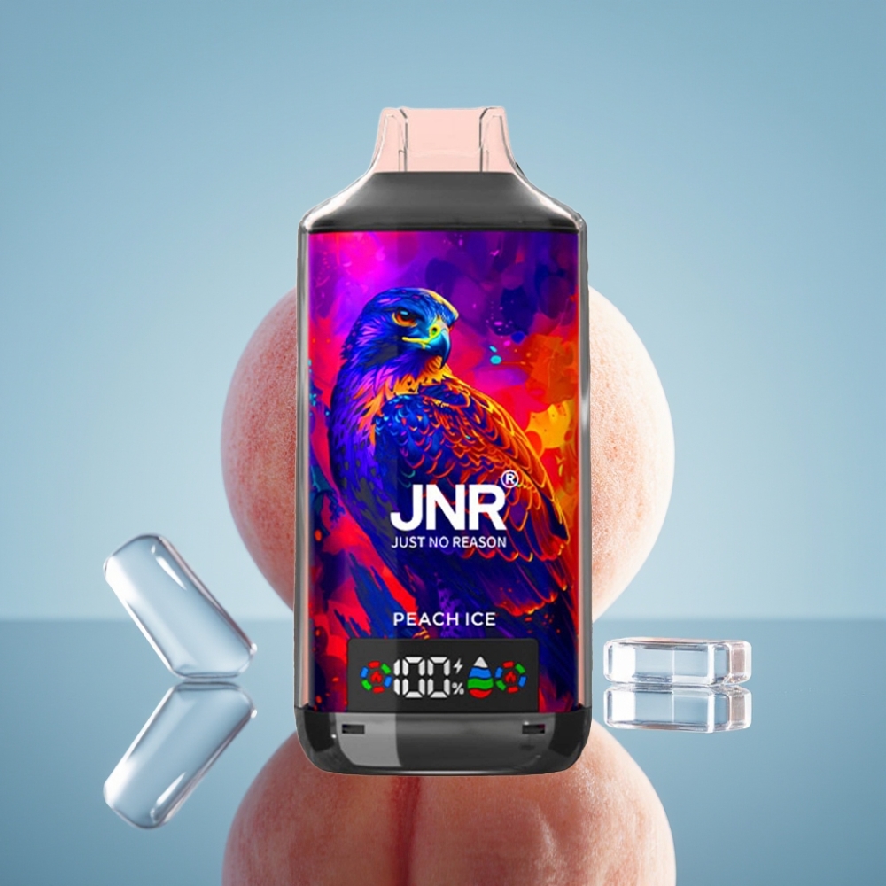 JNR Falcon X 18000 퍼프 듀얼 메시 코일 24ml 피치 아이스 디지털 디스플레이
