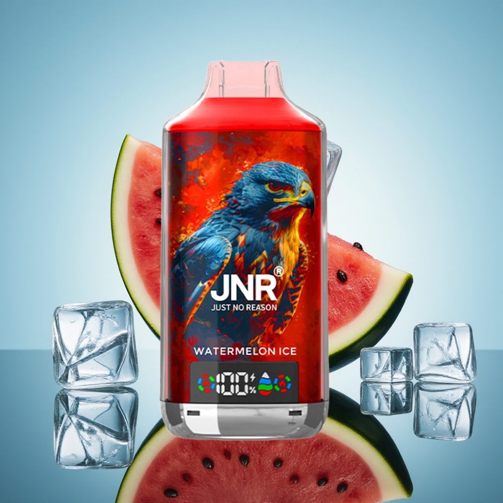 JNR Falcon X 18000 Puffs 워터멜론 아이스 750mAh 24ml 듀얼 메쉬 코일
