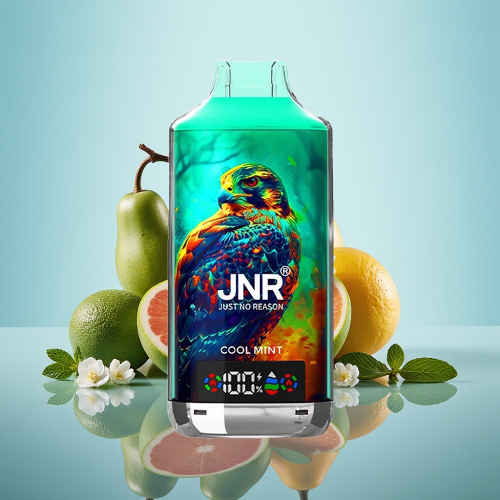 JNR Falcon X 18000 Puffs 쿨민트 디지털 디스플레이 듀얼 메쉬 코일