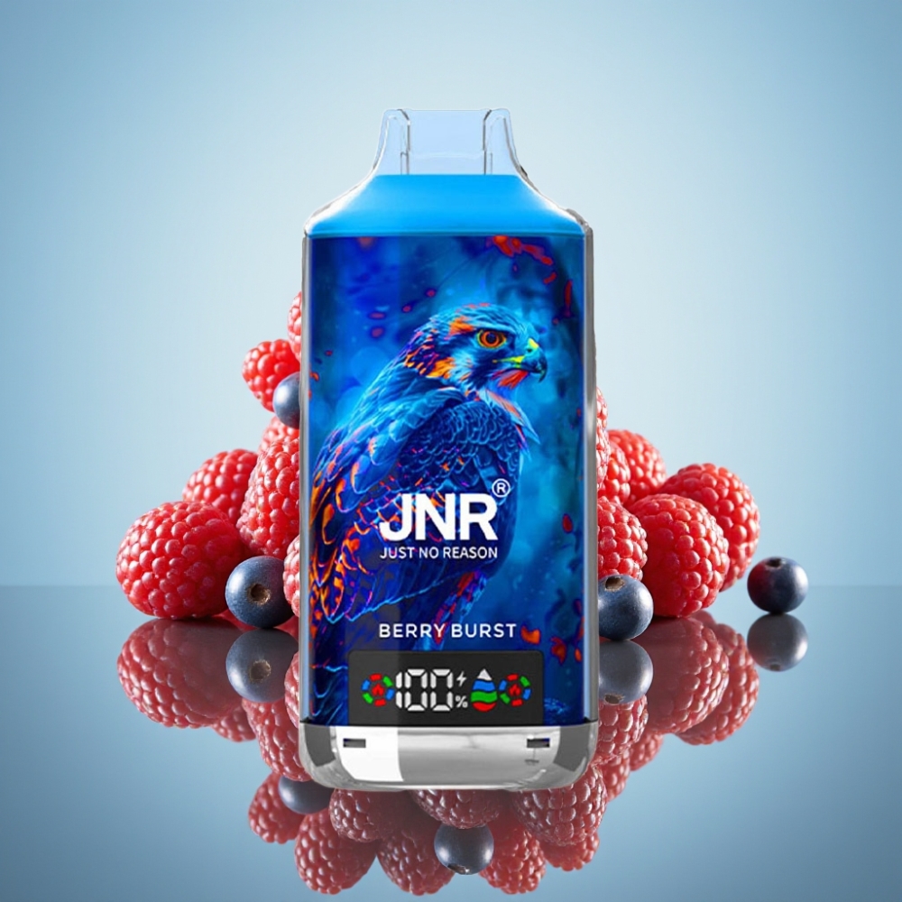 JNR Falcon X 18000 Puffs 베리 버스트 디지털 디스플레이 듀얼 메시 코일