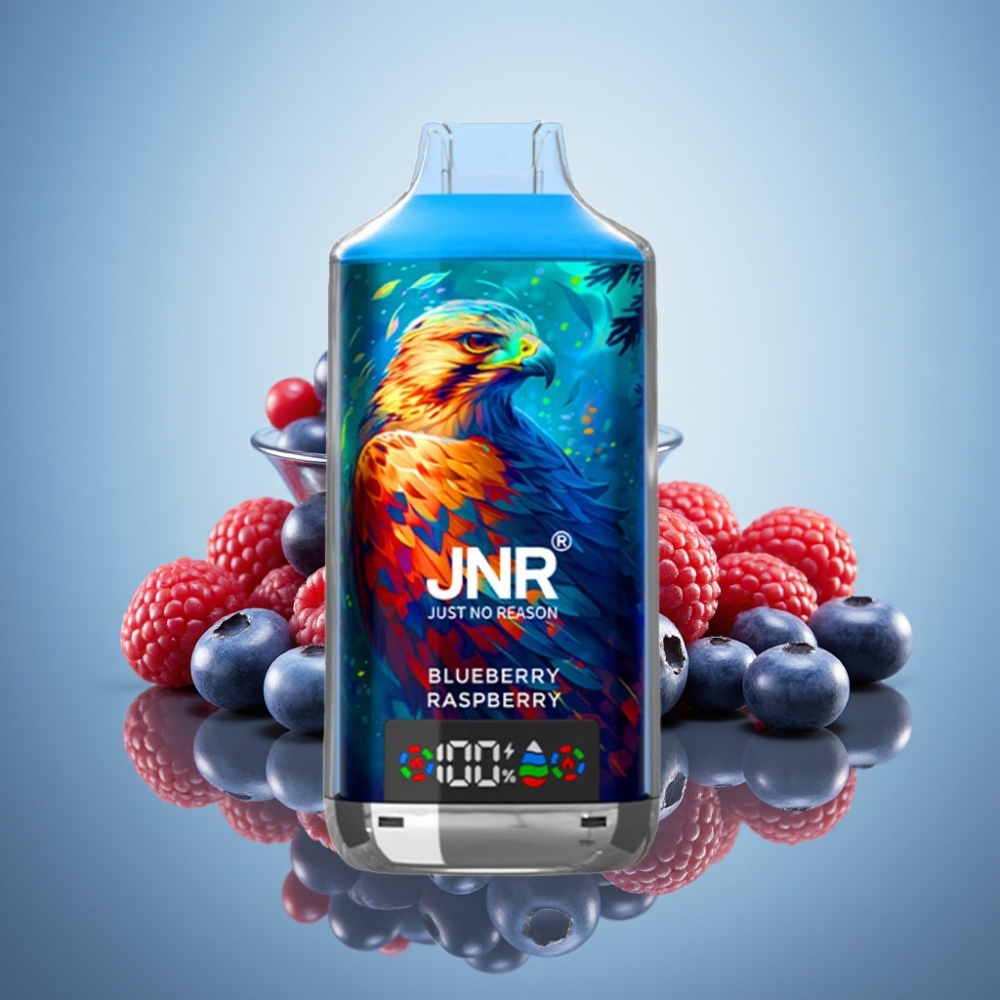JNR Falcon X 18000 푸프 블루베리 라즈베리 디지털 디스플레이 듀얼 메쉬 코일