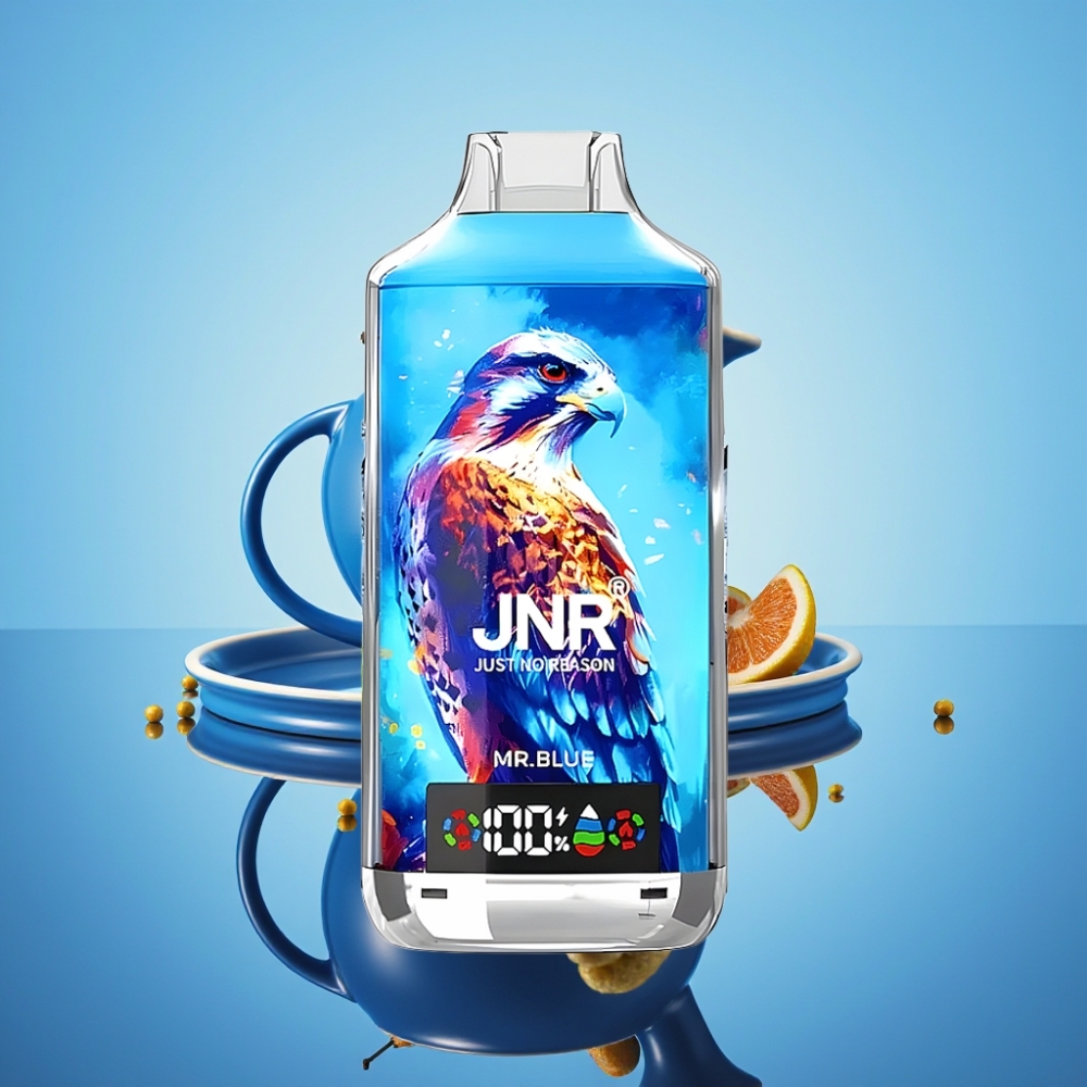 JNR Falcon X 18000 퍼프 듀얼 메시 코일 디지털 디스플레이 미스터 블루