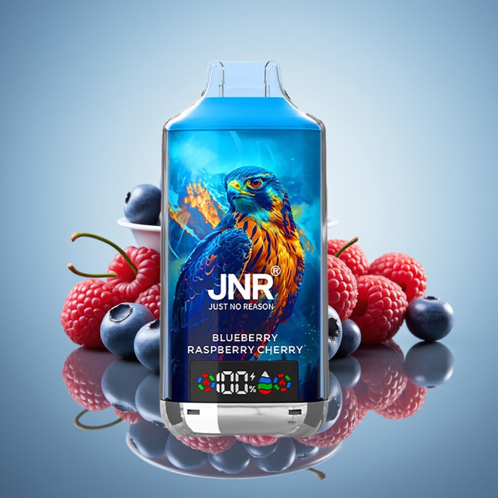 JNR Falcon X 18000 퍼프 블루베리 라즈베리 체리 디지털 디스플레이 듀얼 메시 코일