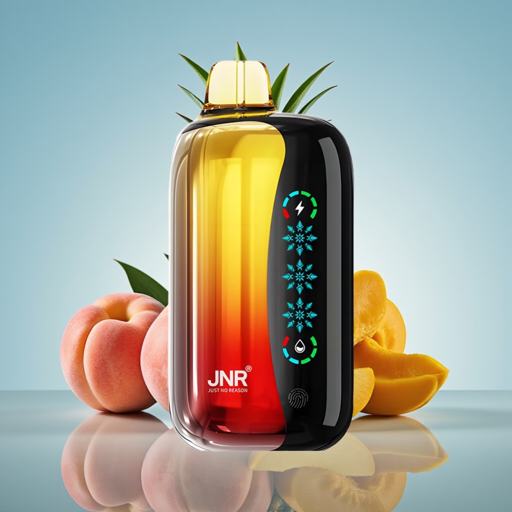 JNR Flex Ice 21000 퍼프 디스포저블 베이프 피치 망고 파인애플