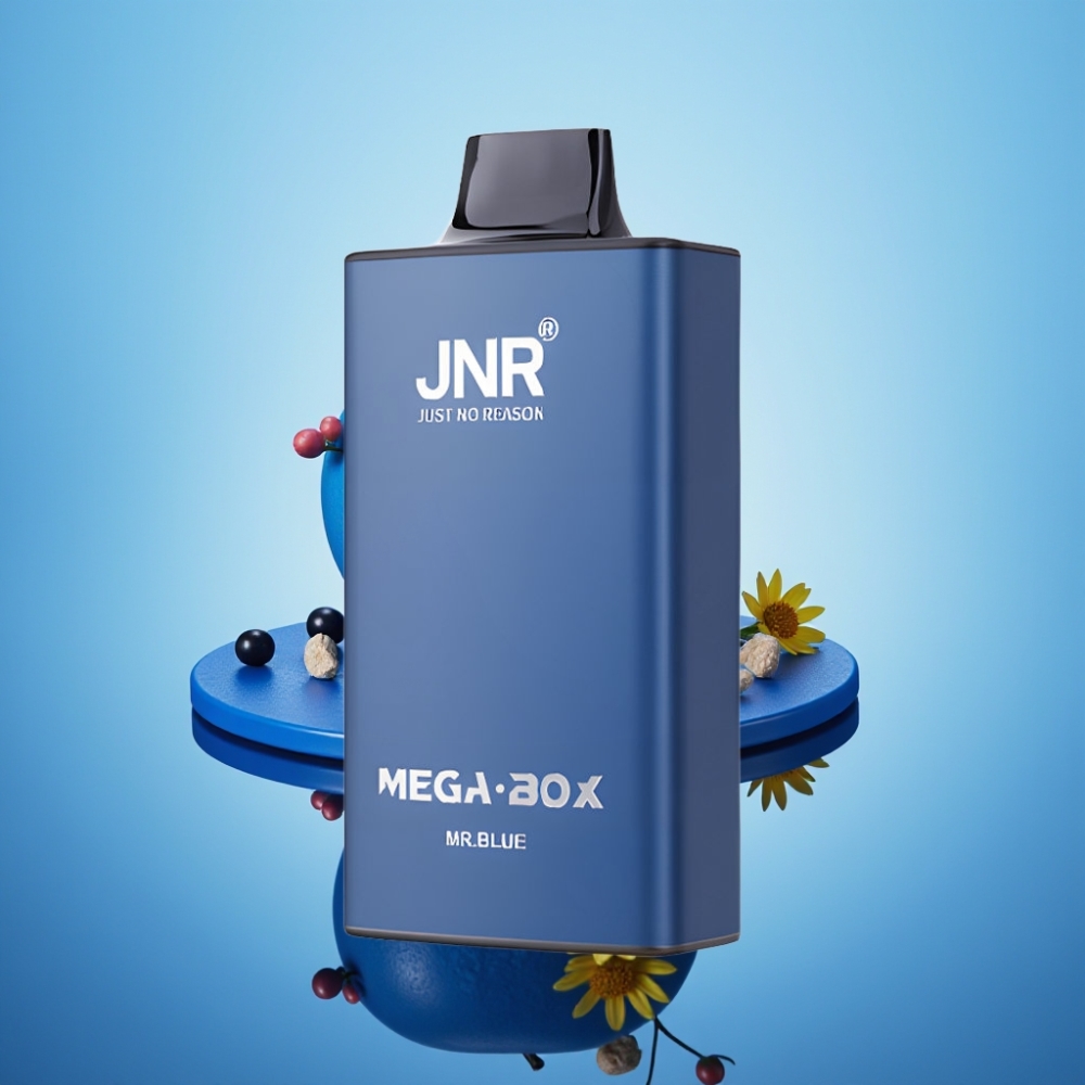JNR Mega Box 25000 퍼프 디스포저블 베이프 미스터 블루 30ml 듀얼 메시 코일