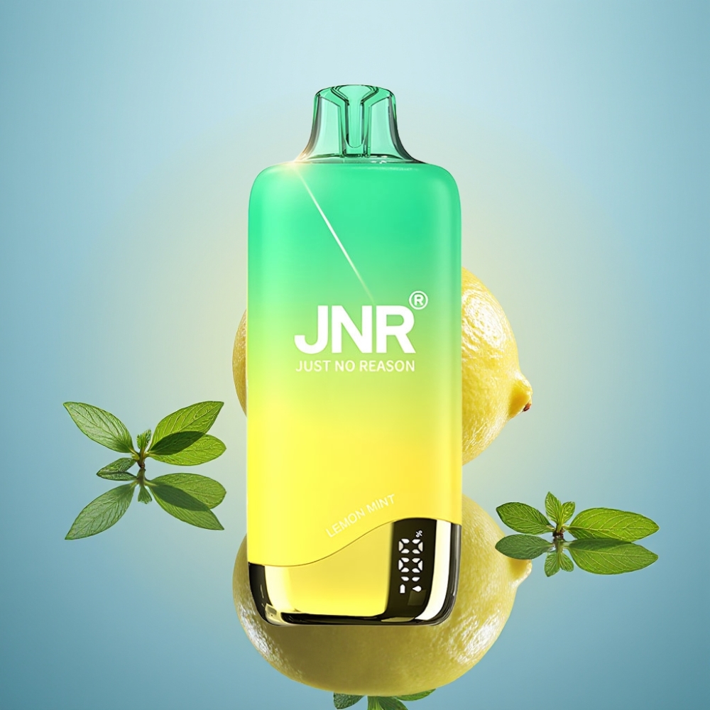 JNR Rainbow 10500 퍼프 디스포저블 베이프 레몬 민트 600mAh 18ml