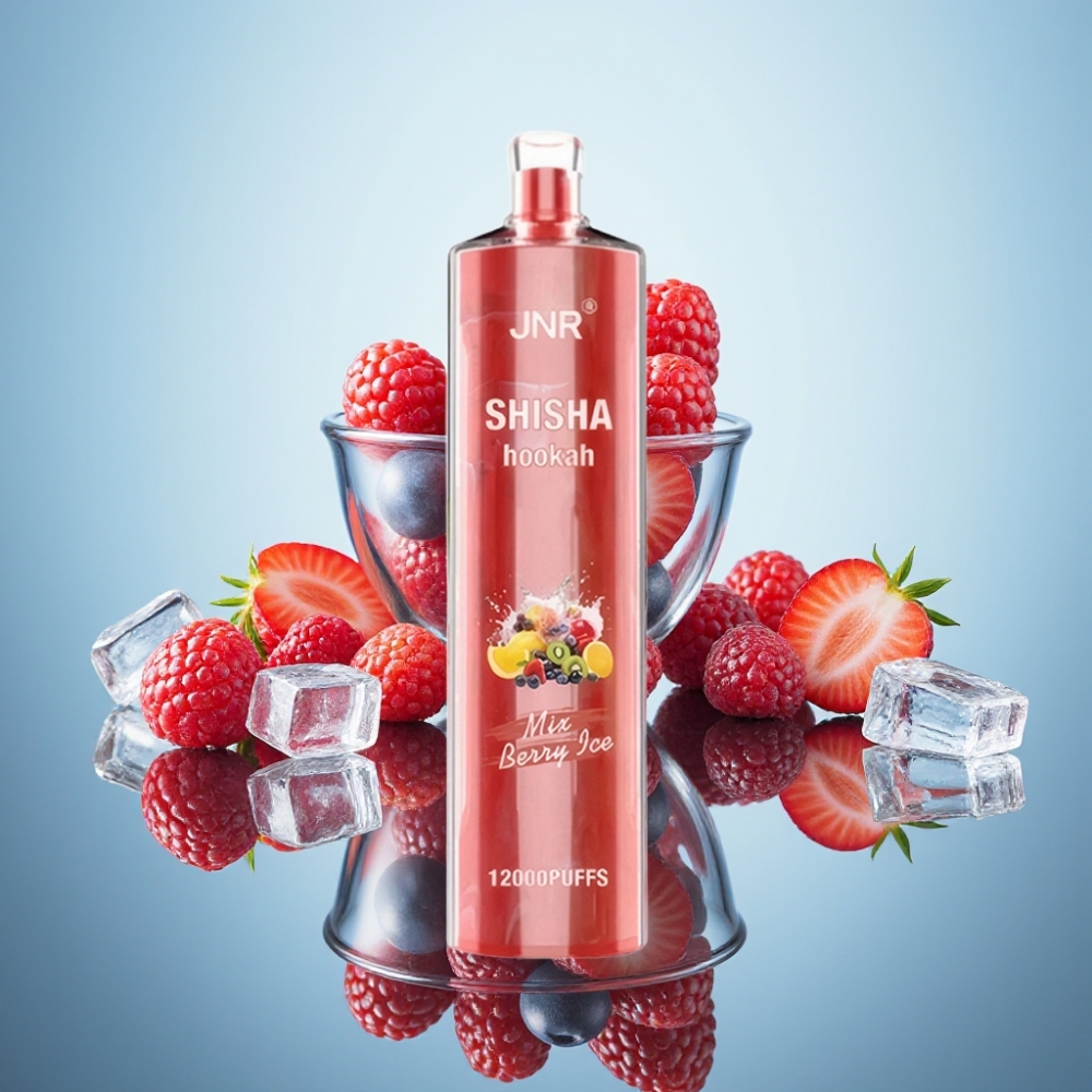 JNR Shisha Hookah 12000 퍼프 디스포즈블 베이프 베리 아이스, 750mAh, 24ml, 0.6옴 메시 코일