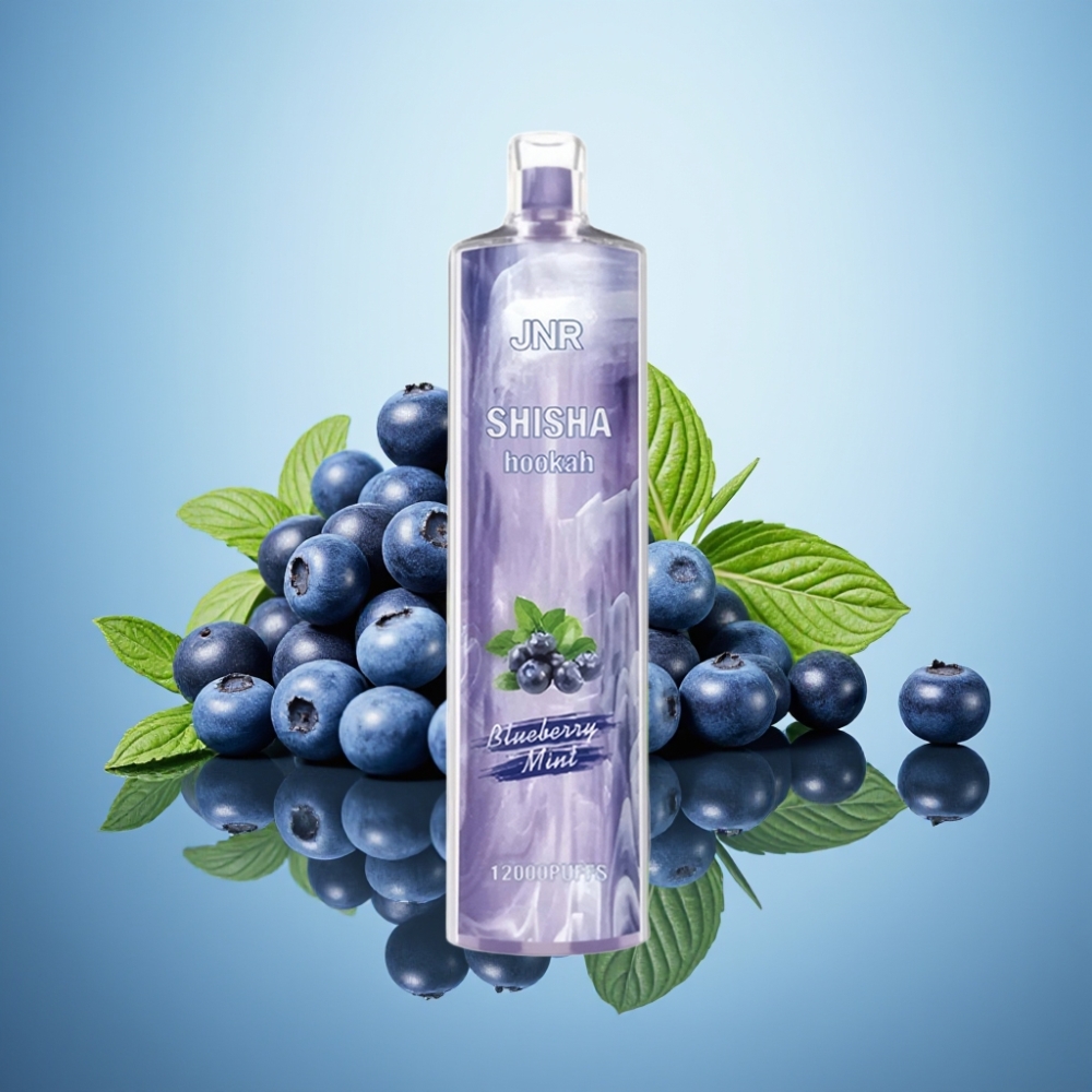 JNR Shisha Hookah 12000 퍼프 블루베리 민트 750mAh 24ml 0.6옴 메시 코일
