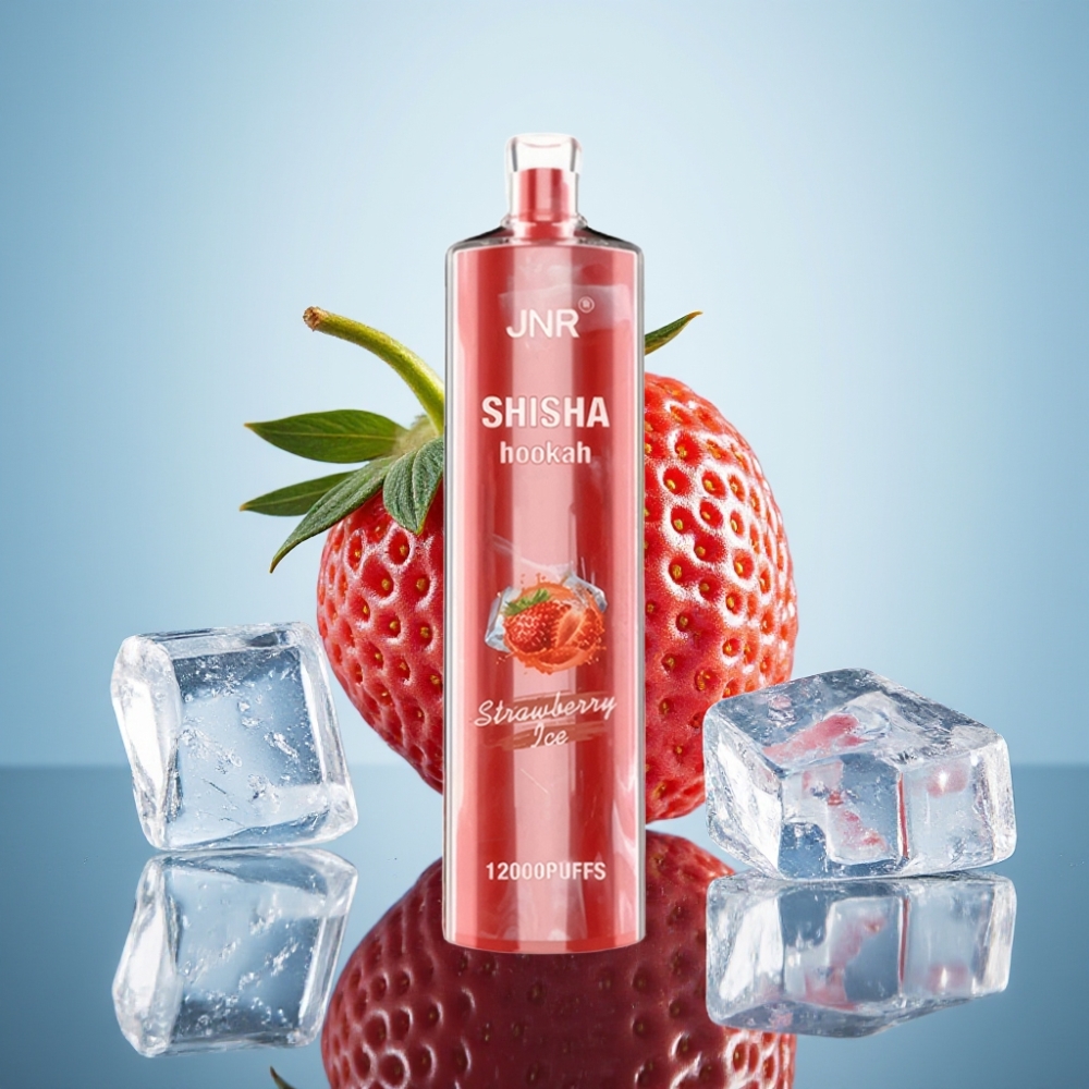 JNR Shisha Hookah 12000 퍼프 스트로베리 아이스 디스포저블 베이프 750mAh 24ml