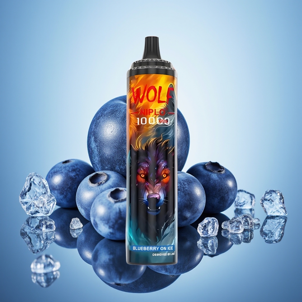 JNR Wolf Niplo 10000 Puffs 블루베리 온 아이스 메시 코일 1.0옴 타입-C 충전