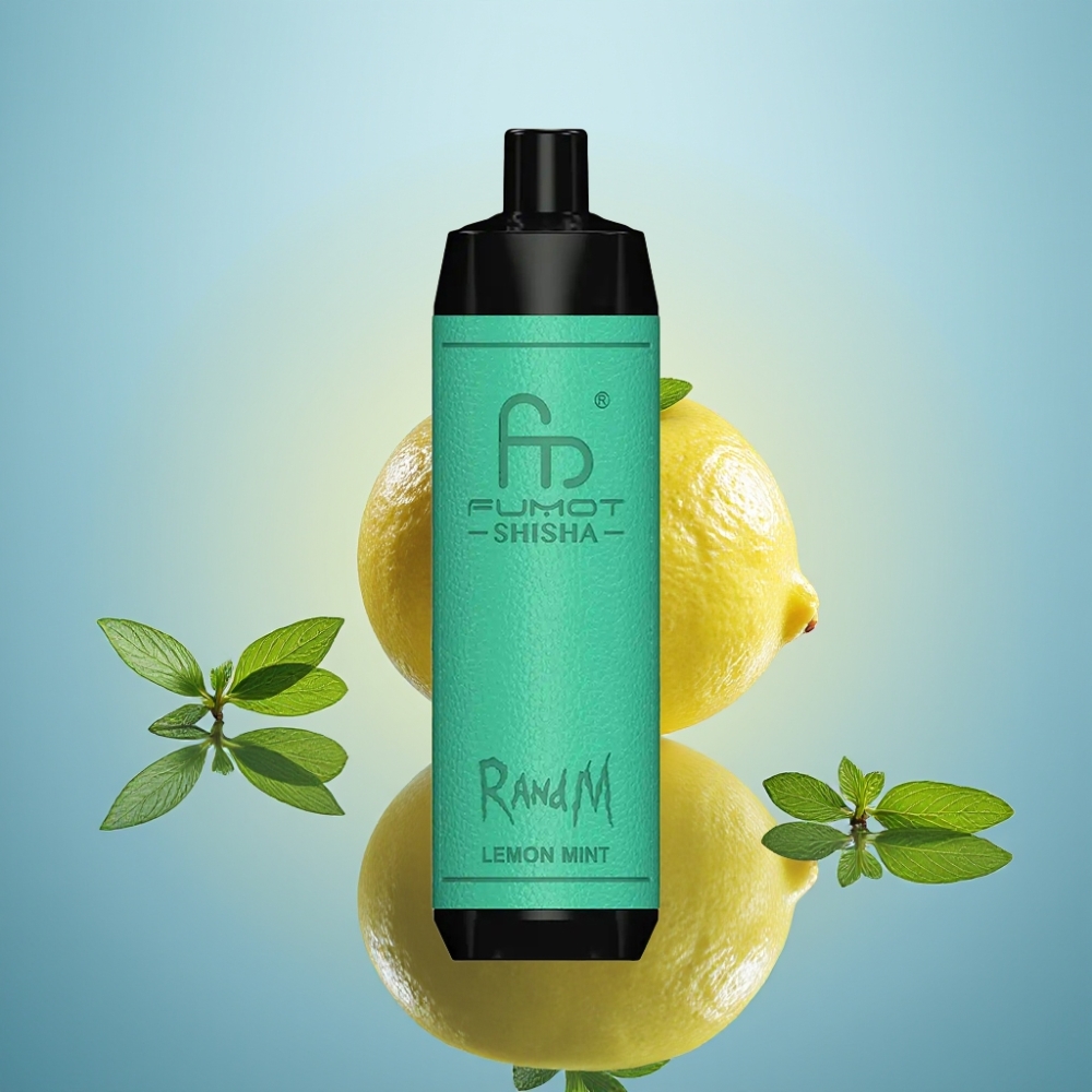 RandM Fumot Shisha 10000 퍼프 디스포저블 베이프 레몬 민트 (18ml, 0.5% 니코틴, 타입-C)