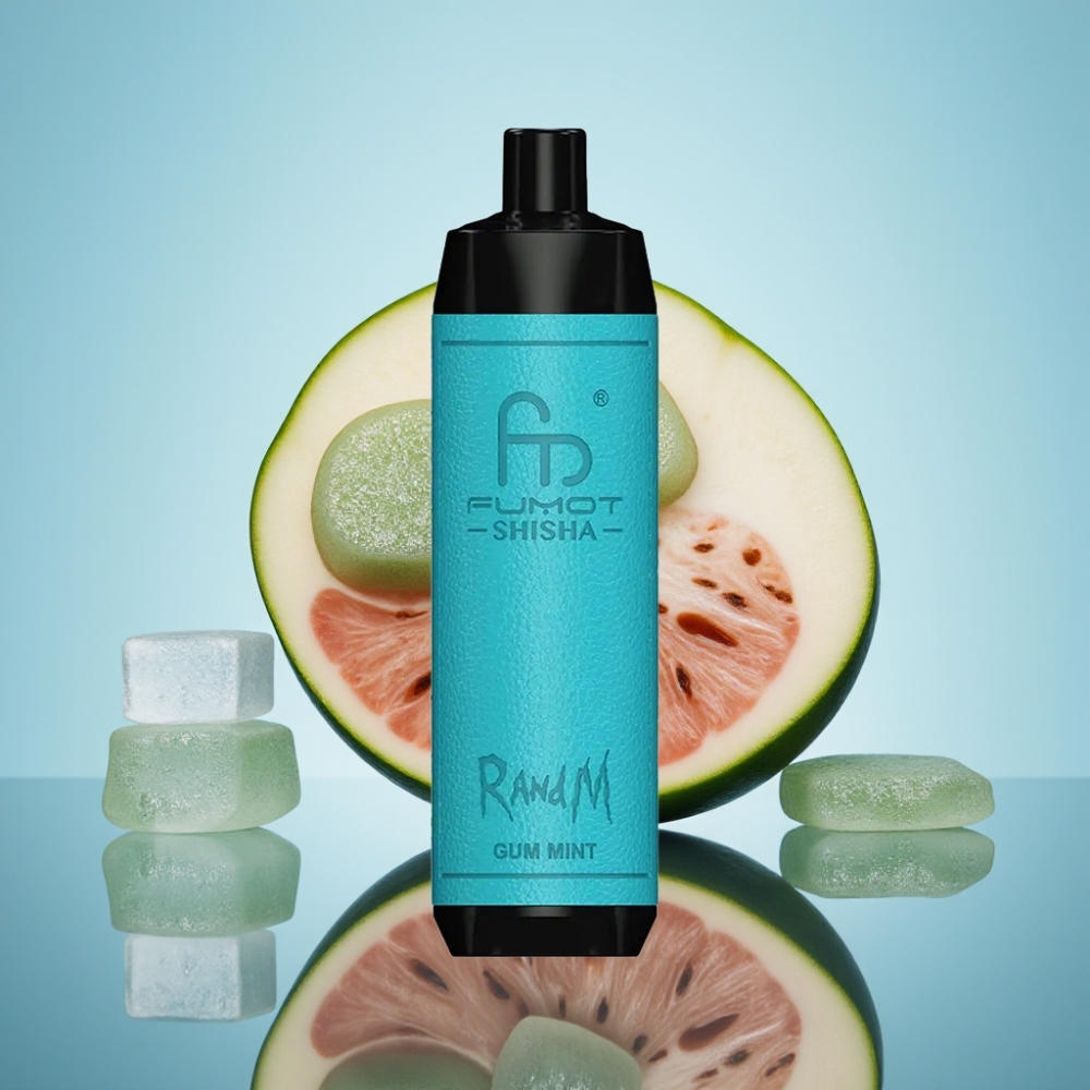 RandM Fumot Shisha 10000 퍼프 디스포저블 베이프 껌 민트 18ml 0.5% 니코틴