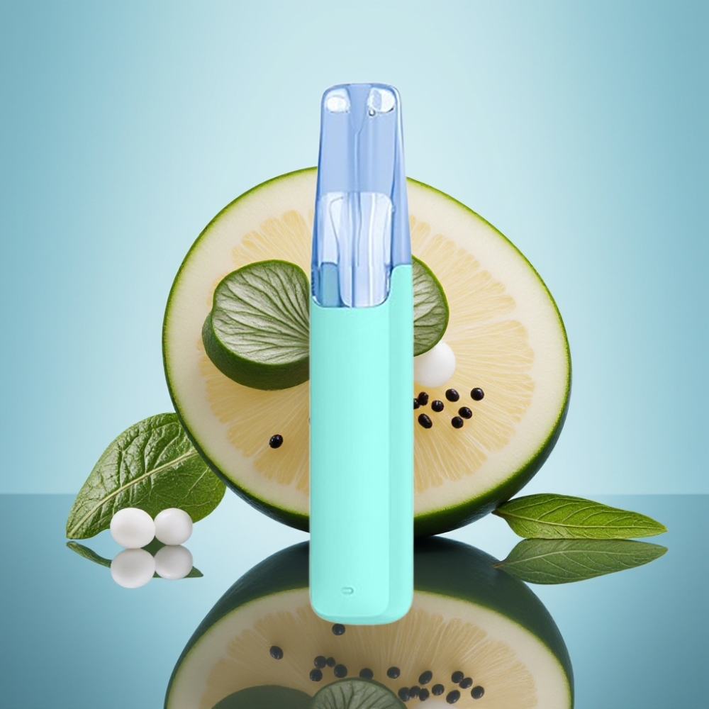 Snowplus Dash 4000 멘톨 플러스 세라믹 디스포저블 (530mAh, 7.5ml)