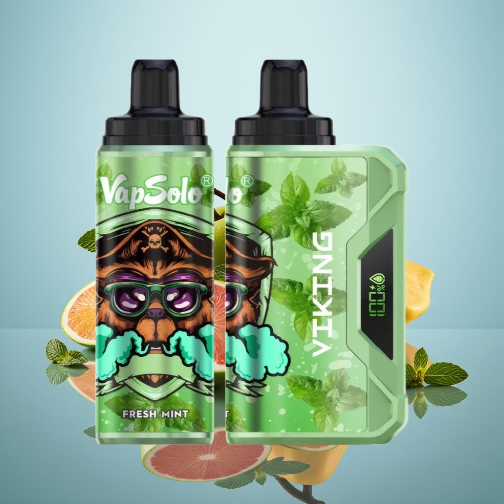 VapSolo VIKING 12000 퍼프 디스포저블 베이프 프레시 민트