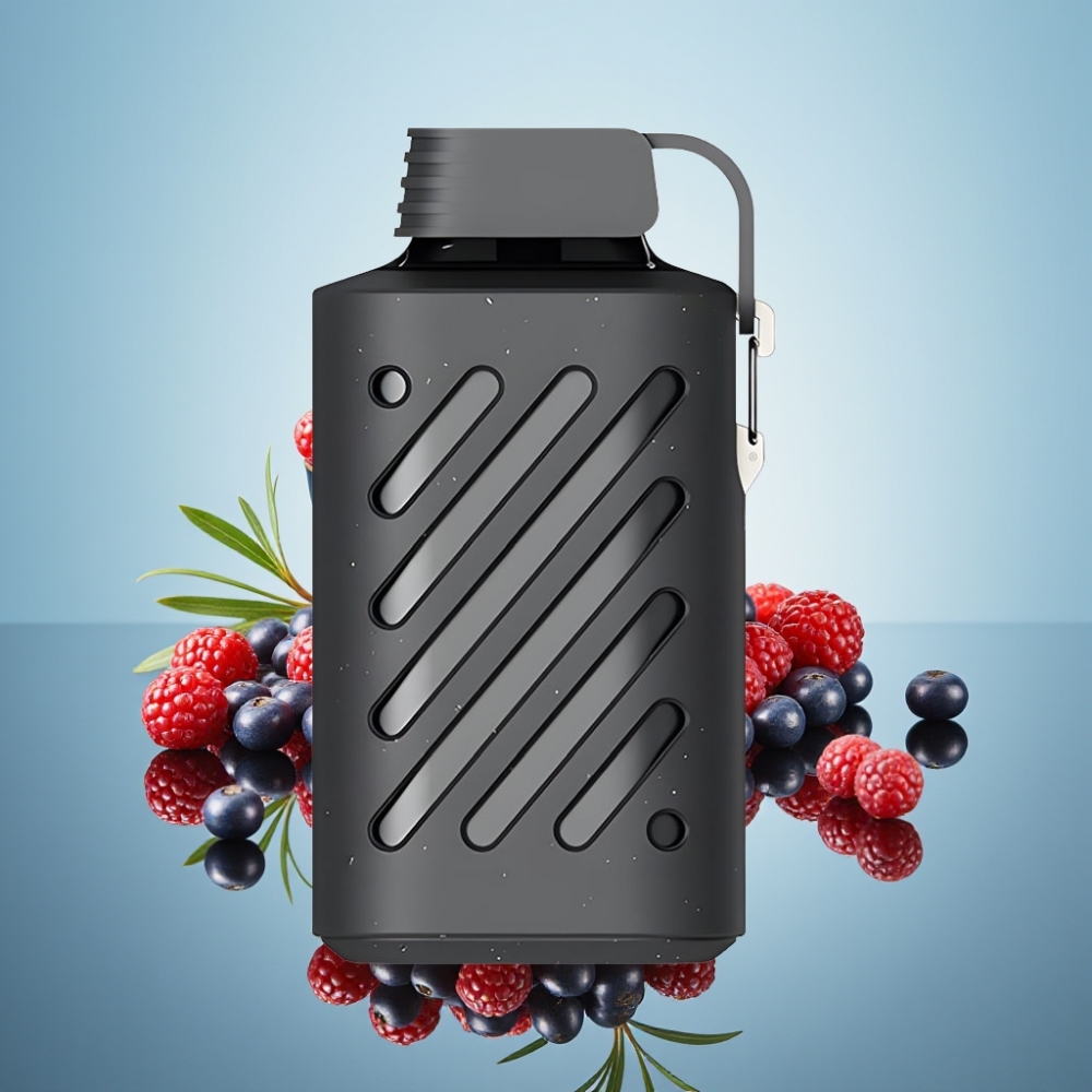 VOZOL GEAR 10000 일회용 베이프 시더 베리 (10000퍼프, 20ml 액상, VAMT 메시 코일)