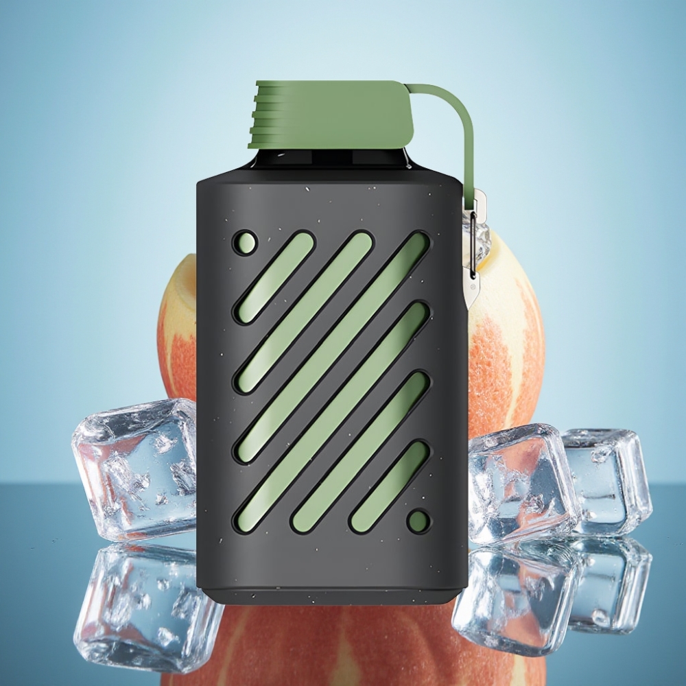 VOZOL GEAR 10000 디스포저블 베이프 러시 아이스 (10000퍼프, VAMT 메시 코일, 20ml)