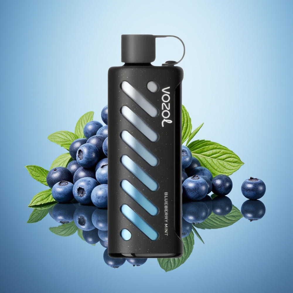 VOZOL Gear Shisha 25000 퍼프 블루베리 민트 디스포저블 베이프, S.i.L.C Tech, 듀얼 메쉬 모드