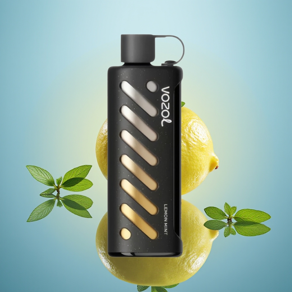 VOZOL Gear Shisha 25000 퍼프 디스포저블 베이프 레몬 민트 (S.i.L.C Tech, 듀얼 메쉬)