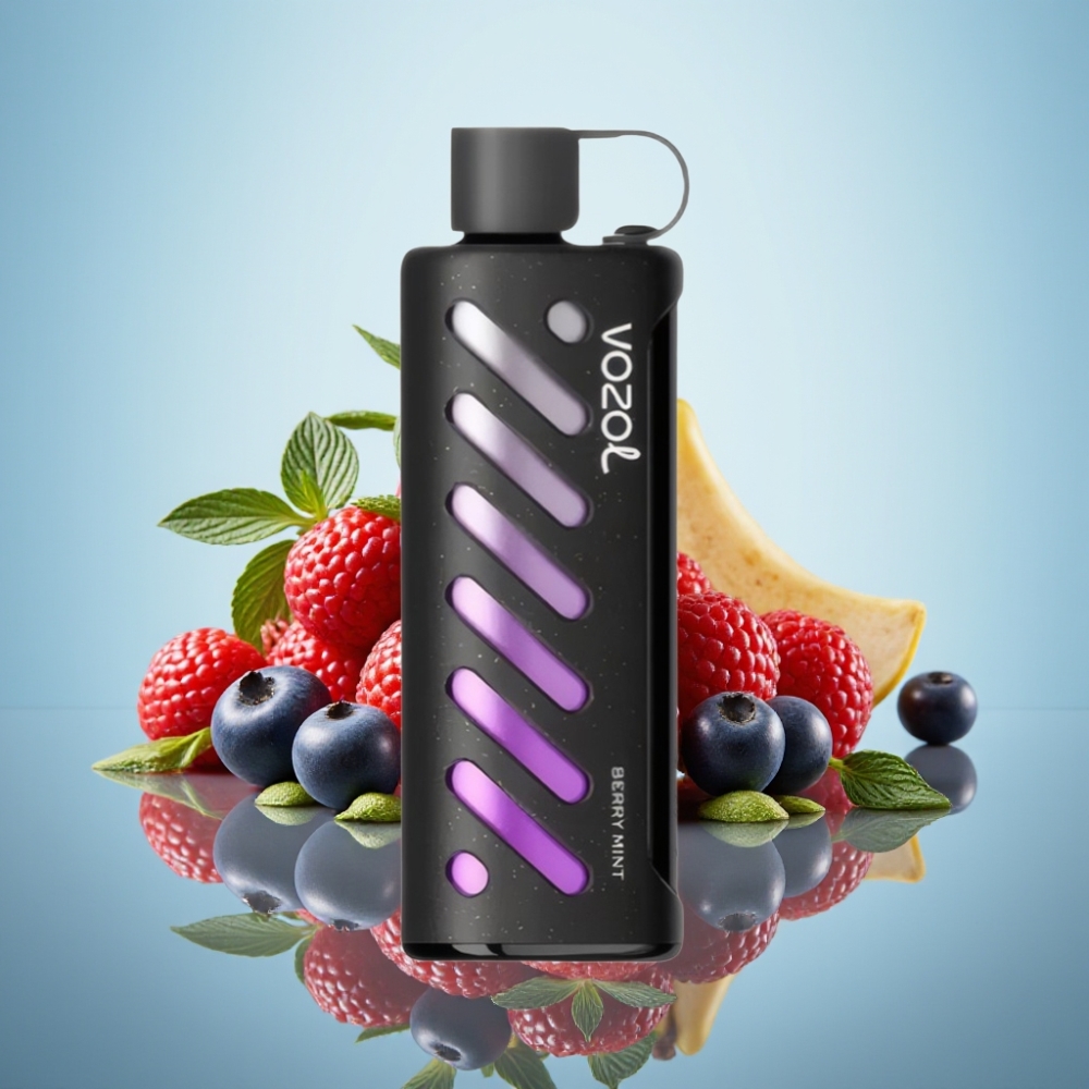 VOZOL Gear Shisha 25000 퍼프 베리 민트 디스포저블 베이프