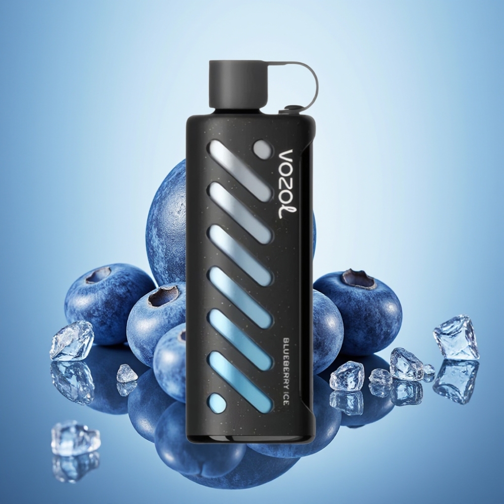VOZOL Gear Shisha 25000 퍼프 블루베리 아이스 디스포저블 베이프