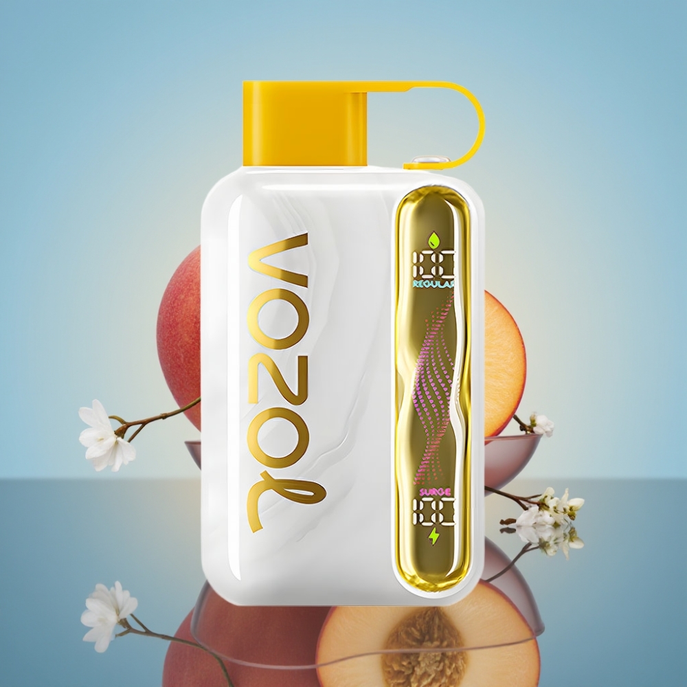 VOZOL STAR 40000 디스포저블 베이프 망고 피치 (1000mAh, 타입-C)