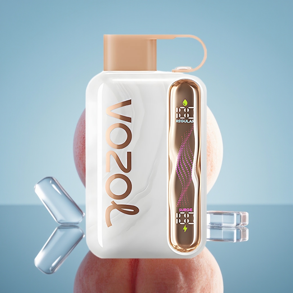 VOZOL STAR 40000 디스포저블 베이프 피치 아이스 (1000mAh, 타입-C)