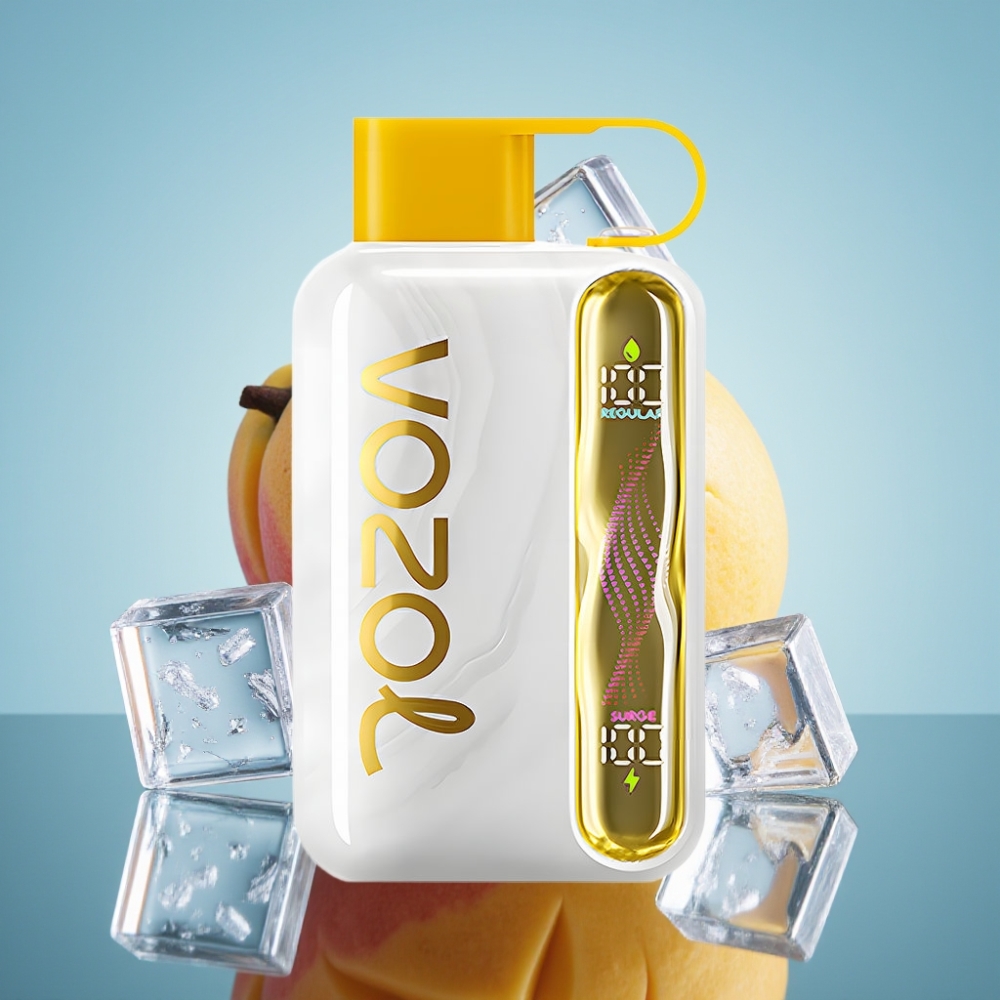 VOZOL STAR 40000 디스포저블 베이프 망고 아이스 1000mAh 타입-C