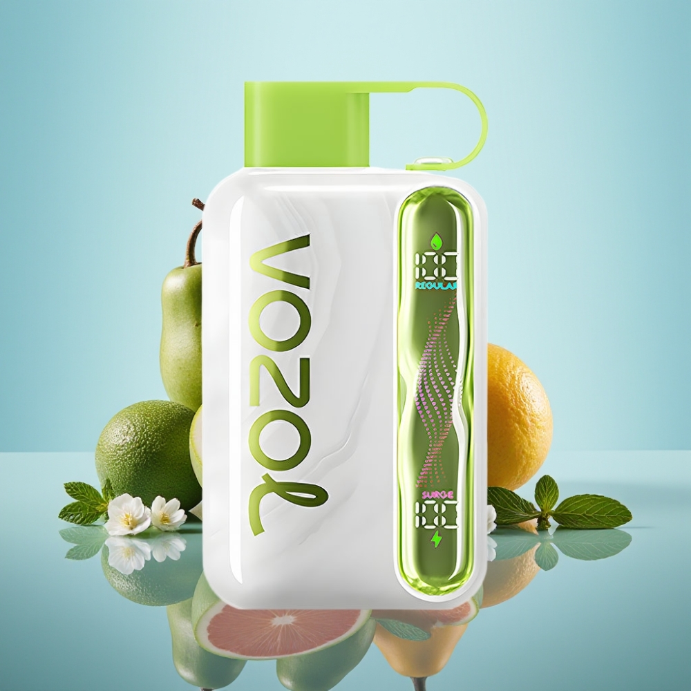 VOZOL STAR 40000 디스포저블 베이프 쿨 민트 1000mAh 타입-C