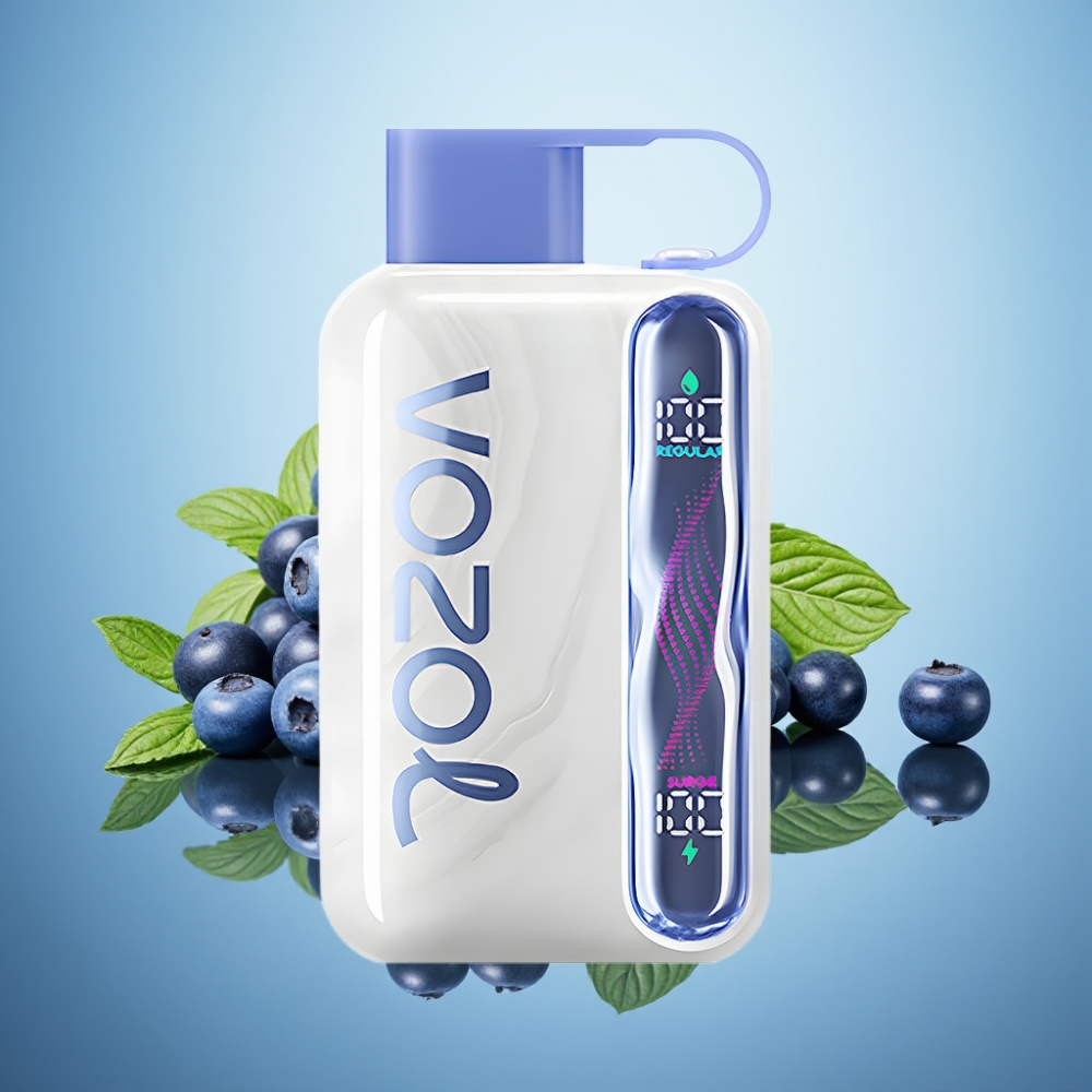 VOZOL STAR 40000 디스포저블 베이프 블루베리 민트 (1000mAh, 타입-C)
