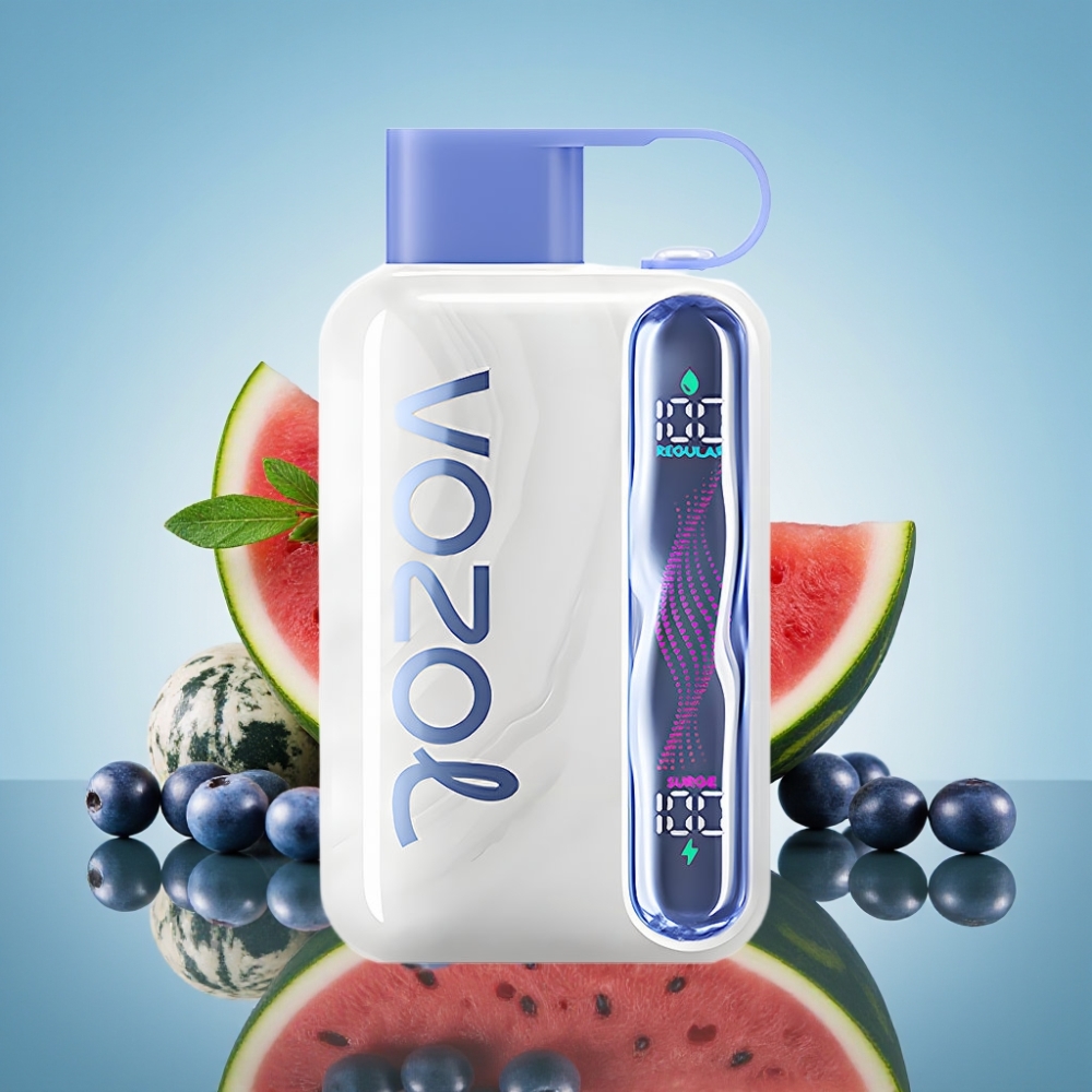 VOZOL STAR 40000 디스포저블 베이프 블루베리 워터멜론 (1000mAh, 타입-C)