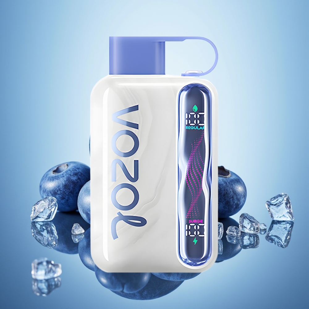 VOZOL STAR 40000 일회용 베이프 블루베리 아이스 (1000mAh, 타입-C)