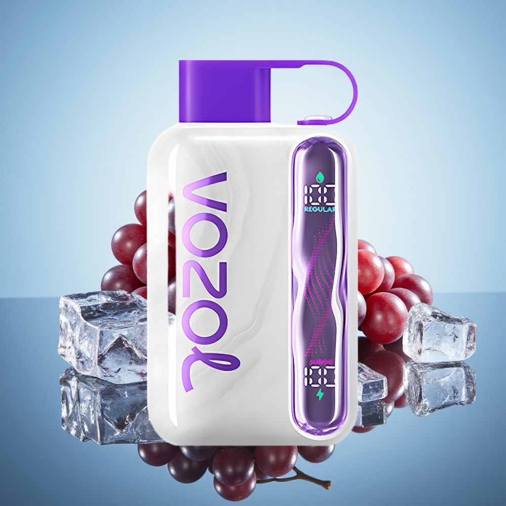 VOZOL STAR 40000 디스포저블 베이프 그레이프 아이스 1000mAh Type-C