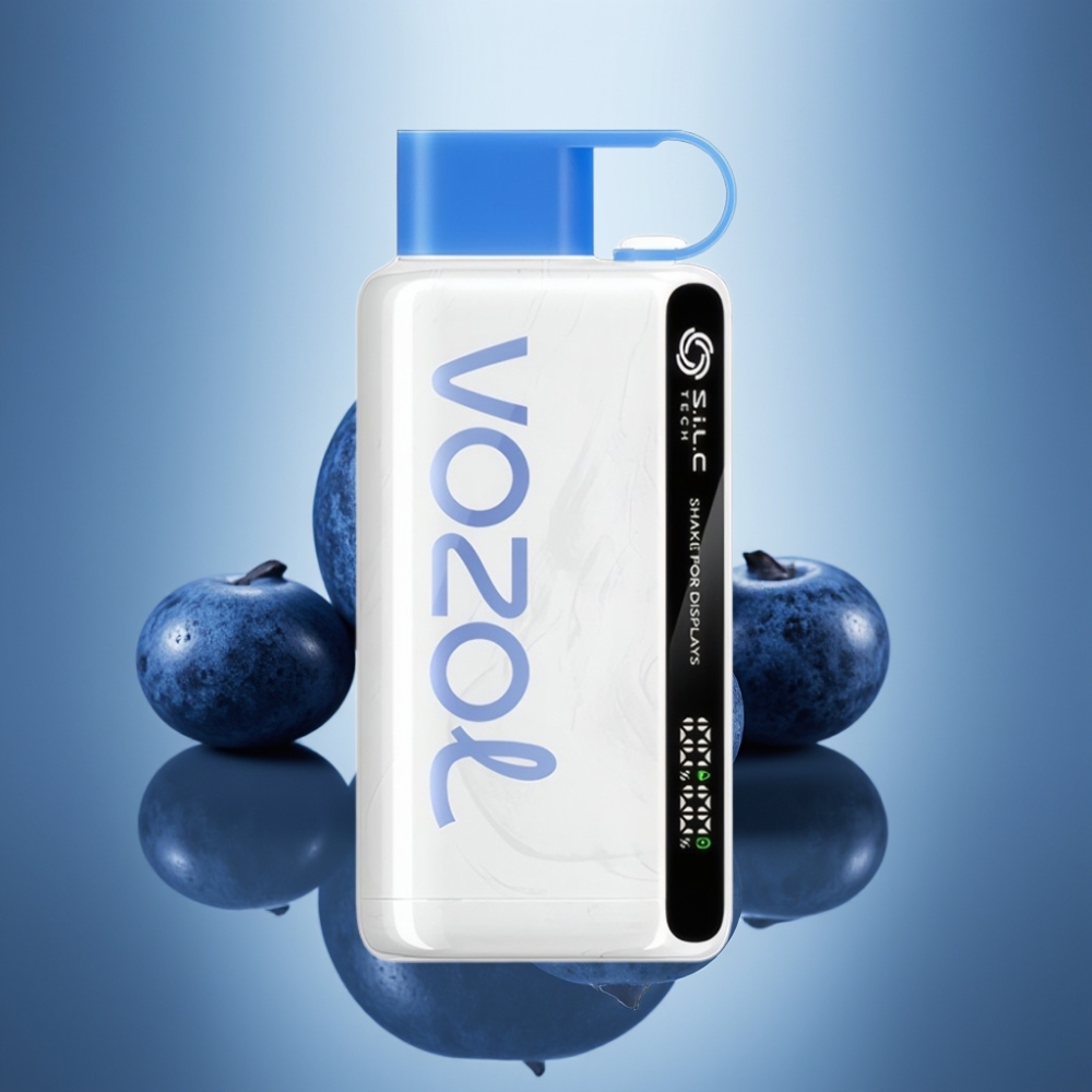 VOZOL STAR 9000/12000 블루베리 스톰 일회용 베이프 (S.i.L.C TECH, 650mAh, 30% 빠른 충전)