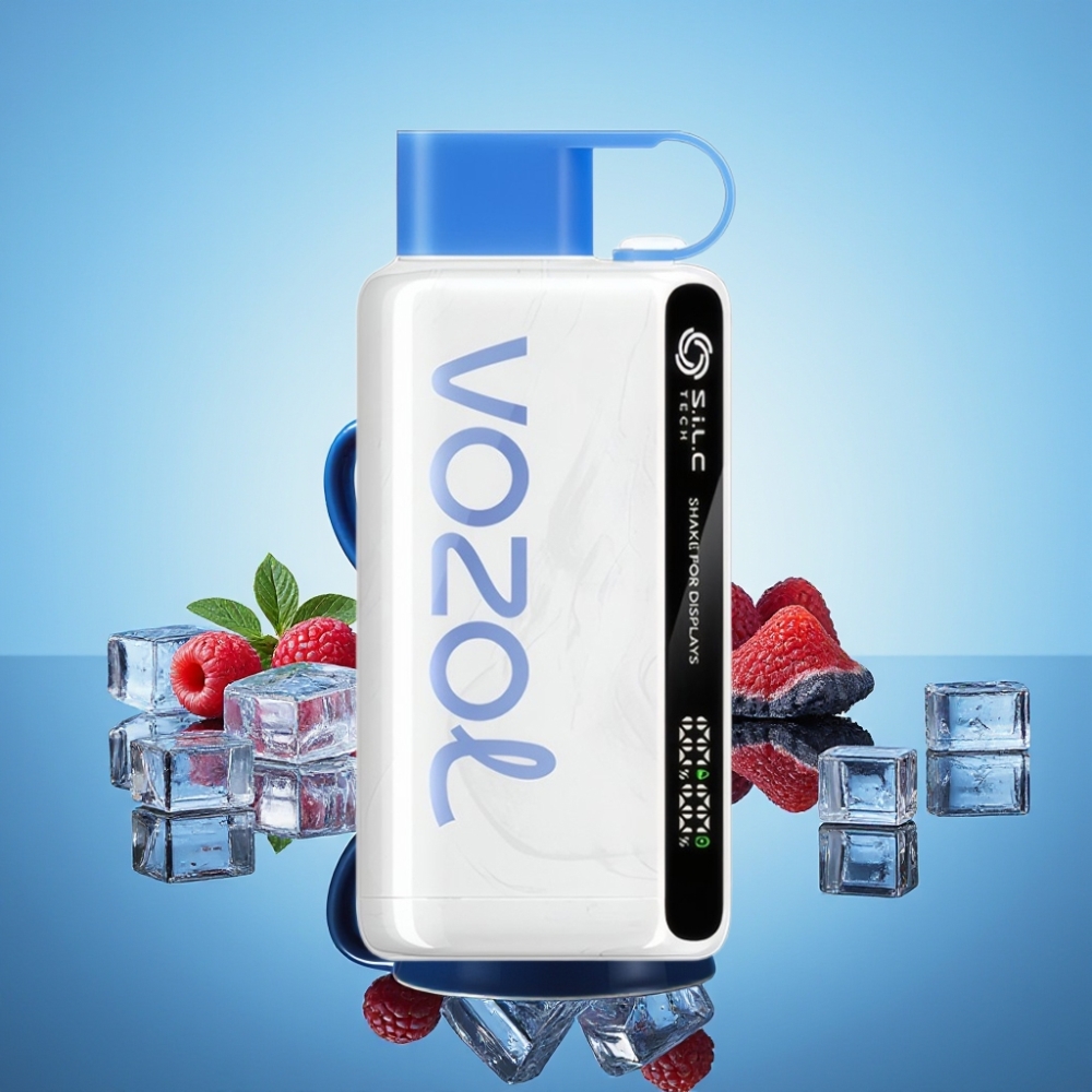 VOZOL STAR 9000/12000 블루 레즈 아이스 일회용 베이프 (S.i.L.C TECH, 650mAh, 30% 빠른 충전)