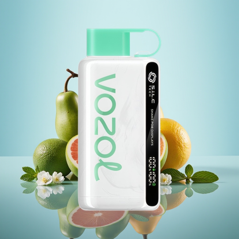 VOZOL STAR 9000/12000 일회용 베이프 쿨 민트, S.i.L.C TECH, 650mAh 배터리