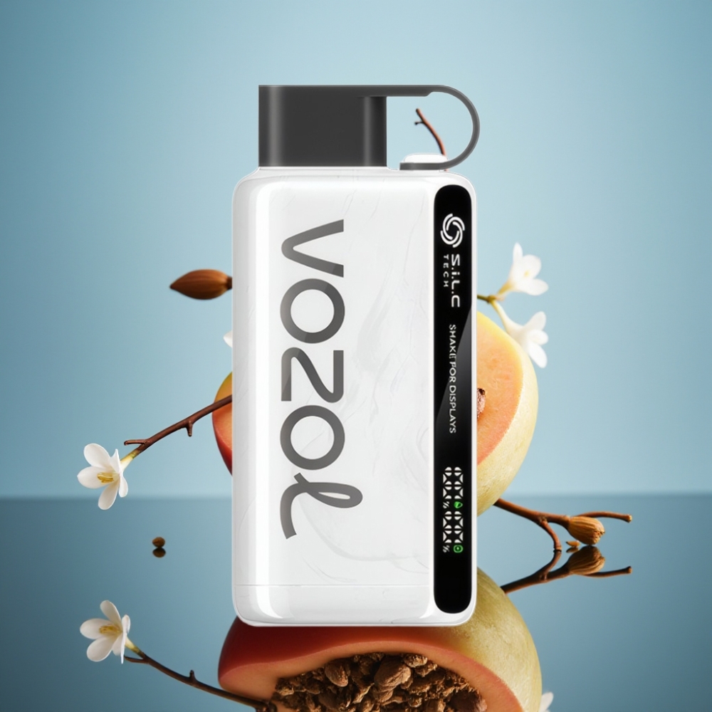 VOZOL STAR 9000/12000 일회용 베이프 충전 빠른 S.i.L.C TECH 담배