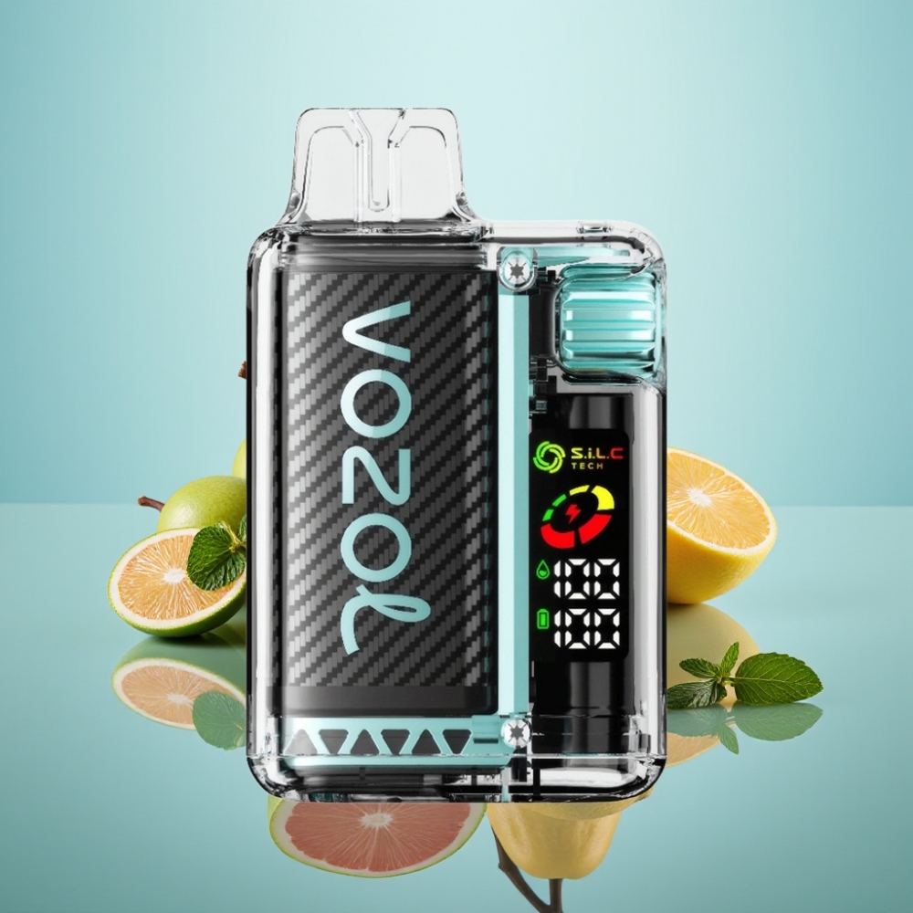 VOZOL Vista 20000 퍼프 재충전형 디스포저블 베이프 마이애미 민트, 650mAh 배터리, 2% 니코틴, S.i.L.C Tech 듀얼 메시 코일