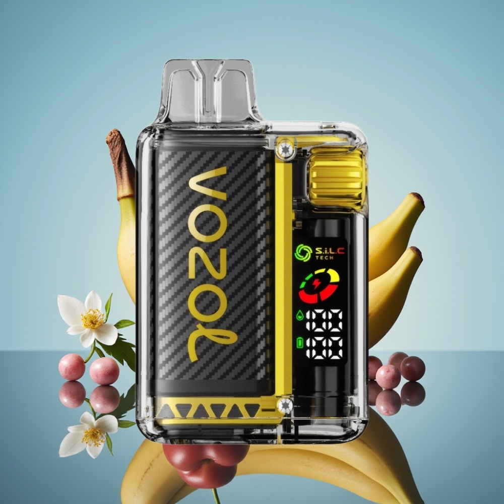 VOZOL Vista 20000 퍼프 재충전형 전자담배 (드래곤프루트 바나나 체리) - 650mAh 배터리, 2% 니코틴, S.i.L.C 듀얼 메시 코일